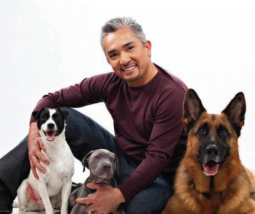 Cesar Millan’dan Köpek Sahiplerine Tüyolar