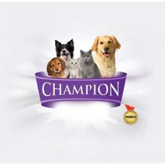 Champion Sizinle Tanışmaya Geliyor…