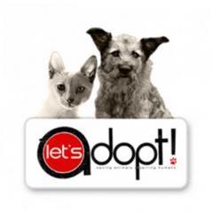 Let’s Adopt