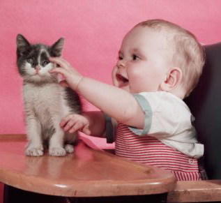 Bebekler Ve Kediler Minik Dostum